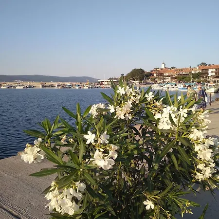 Sunny * 써니비치