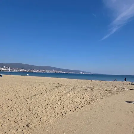 Sunny
